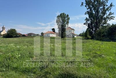 Teren intravilan | De vanzare | 5694 mp | 16.5 ml deschidere | Micesti - 3