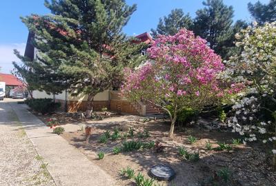 Casă cu 5 camere în Pipera