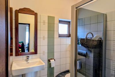 Martha Bibescu,rustic/cochet,4 dormitoare,living-semineu,mobilata,lux,Mogosoaia - 5