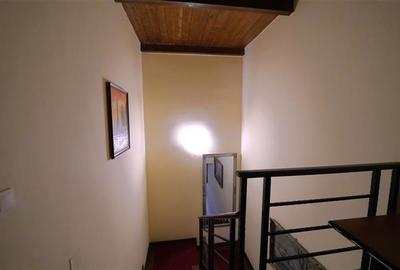 Casa primitoare in cartierul Iosia - 13