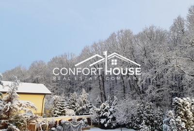 VILA D+P+E+M, 12 camere, piscina , padure, IANCU NICOLAE - 40