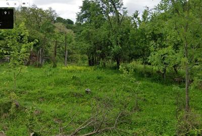 Loc de casa 1080 mp in Gurahont, cart. Iosasel - 4