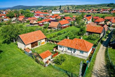 FILM! Casa traditionala, curte, gradina, anexe, extensie teren, Zagon, Covasna - 9