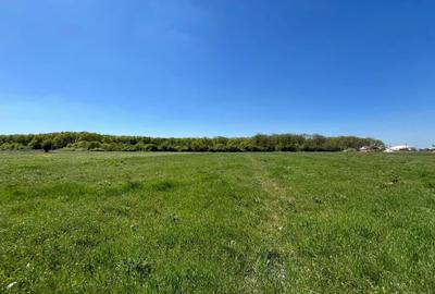 Teren extravilan 4500 MP, cu PUZ, Grigorescu , Oradea. - 1