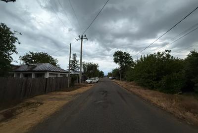 Teren 1000 mp Adunații-Copăceni (Dărăști-Vlașca)-Giurgiu - 14