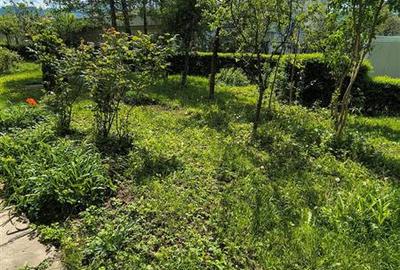 Apartament cu 2 camere la parter, in Astra, Brasov - 23
