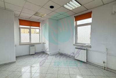 Vila in stil arhitectural german adiacent Calea Mosilor - 11