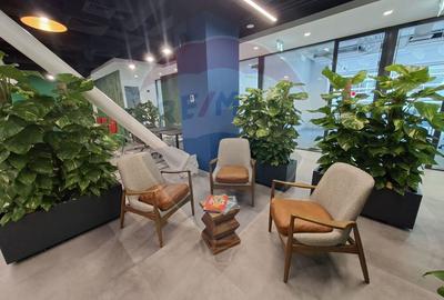 DE INCHIRIAT Spațiu de birouri | Coworking | Pipera | Dimitrie Pompeiu - 50