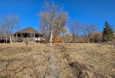 Teren intravilan -  2875 mp - Barnova - 1