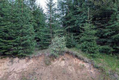 Teren 19,500 mp (1,95 Ha)-curent-ideal cabane-Colibita - 2