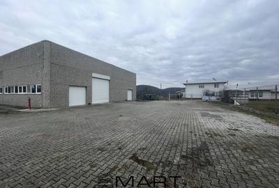 Spatiu industrial  zona Selimbar Sibiu - 1