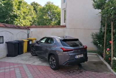 COTROCENI - Aici a visat și a creat pictorului Zamfir DUMITRESCU - 2
