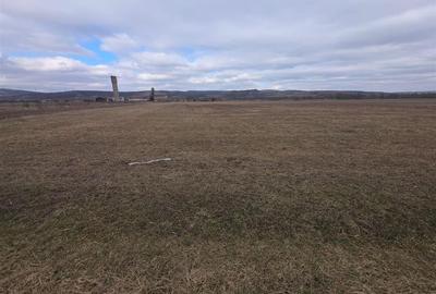 Teren Construcții intravilan de 20200 mp, în Exterior Est