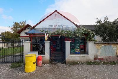 Spatiu comercial cu potential extraordinar - 1