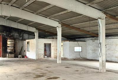 HALE INDUSTRIALE | CLADIRE BIROURI | TEREN 7000 MP | GHEGHIE BIHOR - 6