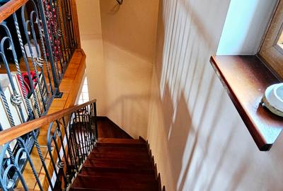 Vila individuala 7 camere | Zona Iancu Nicolae - Serban Cantacuzino | Teren 3250 - 21