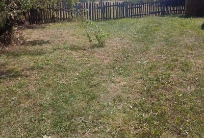 Teren Intravilan, situat in Sat Tismana (zona Gornovita) - 5