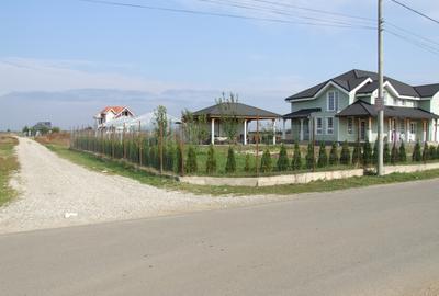 Domnesti-Ciocarliei, Afinului - 1