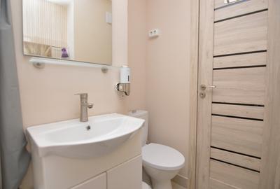 INCHIRIERE APARTAMENT 2 CAMERE PIATA VICTORIEI – VERONICA MICLE - 22