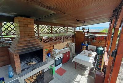 Casa moderna, foarte spatioasa, cu  1500 mp teren, în  Dambul Rotund - 27
