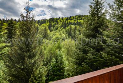 Pensiune de vânzare în Sinaia – proprietate premium cu 7 camere, teren generos! - 8
