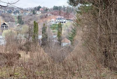 Teren de vânzare – Brașov, zona Dupa Iniste, 2710 mp - 12