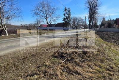 Teren de 20 ari | Intravilan | Iluminat stradal | 34.000 EUR Pătrăuți - 3