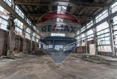Platforma industriala 33.000 mp | fosta fabrica dolomita | acces TIR | - 12