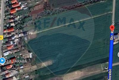 Teren Construcții intravilan de 3261 mp, în Balotești