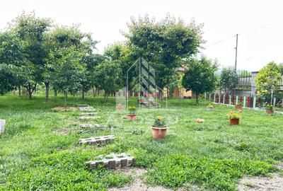 Casa individuala P+E cu teren generos de 856mp, in Sanandrei - 21