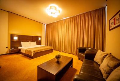 Timisoara, OPORTUNITATE INVESTITIE, hotel, clinica sau azil, 41 camere - 18