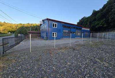 Spatiu comercial 360 mp, teren 1000 mp.4 boxe cu elevator - 4