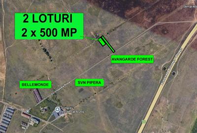 Teren Intravilan, Voluntari, Elisabeta Rizea, 1.000 mp, 2 loturi - 5