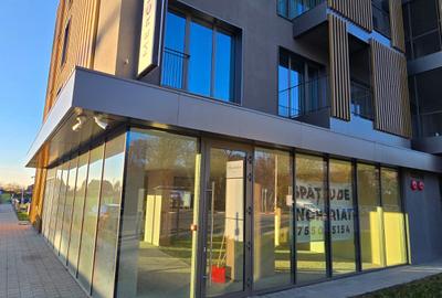 Spatiu Comercial pe Bld. Victoriei vizavi de Parcul Sub Arini - Hotel Mercure - 3