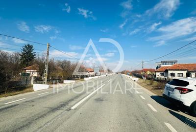 Teren de vânzare în Comuna Drăguțești – Locul ideal pentru casa visurilor tale! - 4