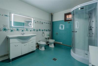 PROGRESUL GIURGIULUI,VILA INDIVIDUALA,5 CAMERE,221 MP,TEREN 379 MP - 8