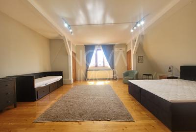Spatiu comercial de inchiriat 875mp - Piata Cluj - 18
