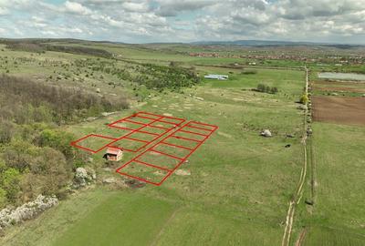 RECO, teren intravilan, Ineu,Bihor - 1