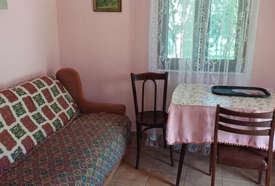 Vânzare casă în comuna Chinteni loc. Vechea - 6