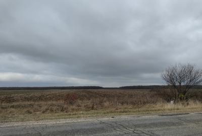 Teren 4.69ha (46900 mp), Petresti Dambovita la 4 km de A1 - 4