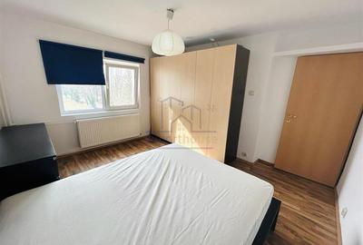 Inchiriere apartament 2 camere Ploiesti, zona Paltinis - 12