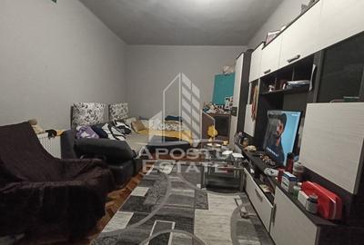 Apartament cu 4 camere, centrala proprie, 2 bai, terasa, zona Iosefin. - 5