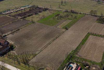 Loc de casă în Odvoș - Conop 3000mp - 29