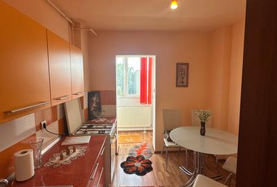 Inchiriere apartament 2 camere Calea Bucuresti - 3