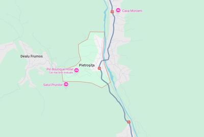 Casă DAMBOVITA, PIETROSITA - 1