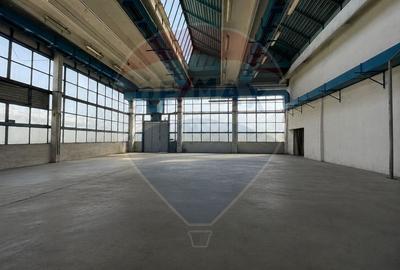 Hala Industriala Aeroport Brasov | Yield 15–26% | Ready-to-Operate - 5