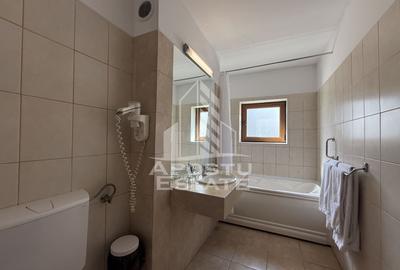 Apartament o camera, utilitati incluse,  zona centrala Sannicolau Mare - 3