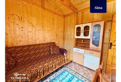 Teren Intravilan cu cabana  in satul transilvanean Alma - 12