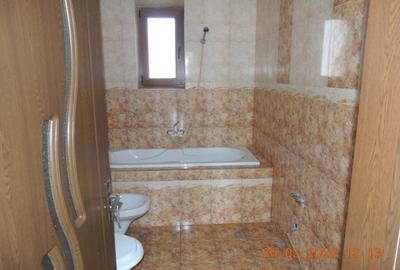 Proprietate rezidentiala 390 mp Com. Pantelimon , Ilfov - 5