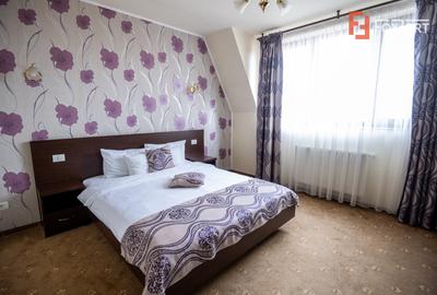 Hotel Miky Arad de vanzare bussiness operational functional - 38 camere - 8